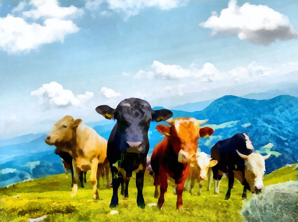 Cow Gang art print by Vanessa Knight for $57.95 CAD