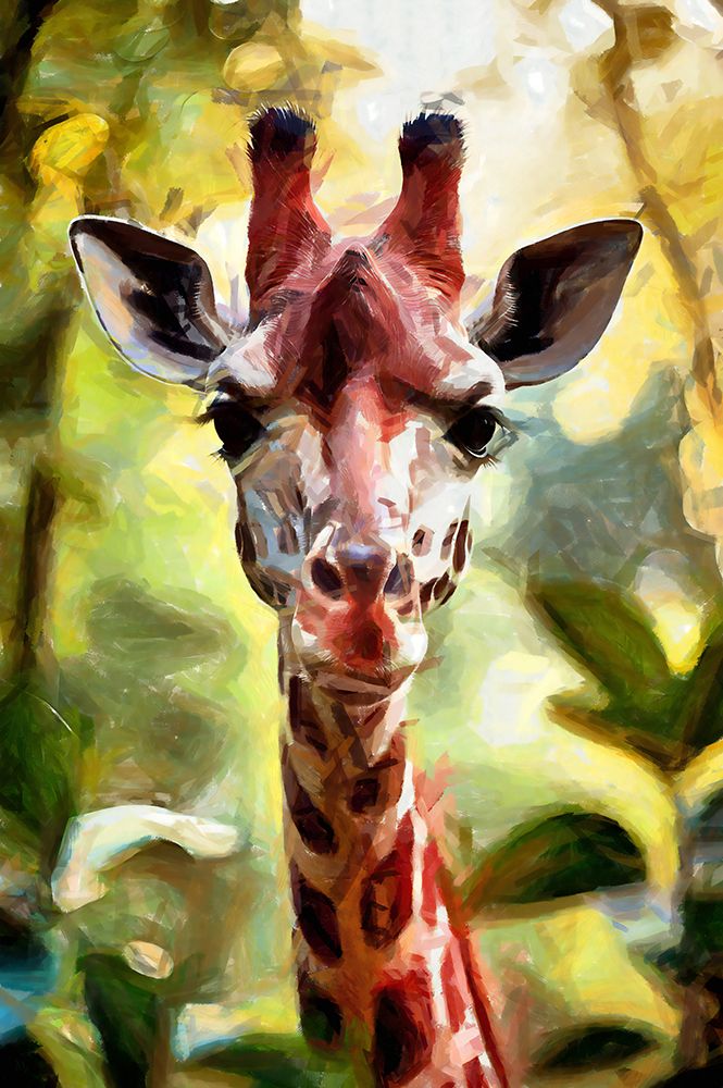 Curious Giraffe art print by Vanessa Knight for $57.95 CAD