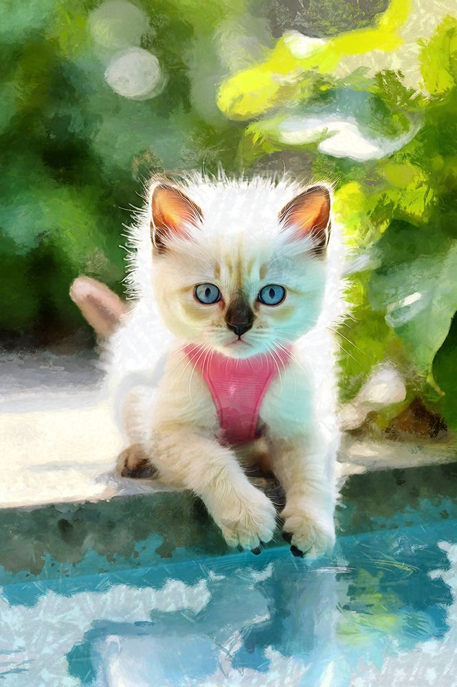 Cute Kitty at the Pool art print by Vanessa Knight for $57.95 CAD