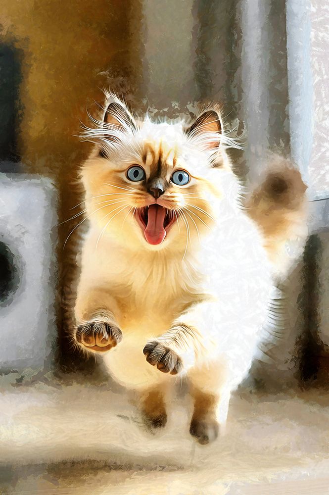 Cute Kitty in Flight art print by Vanessa Knight for $57.95 CAD