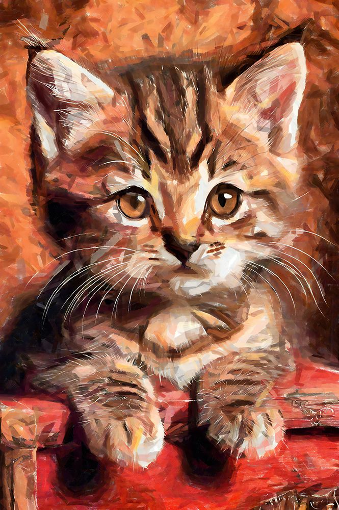 Cute Kitty art print by Vanessa Knight for $57.95 CAD