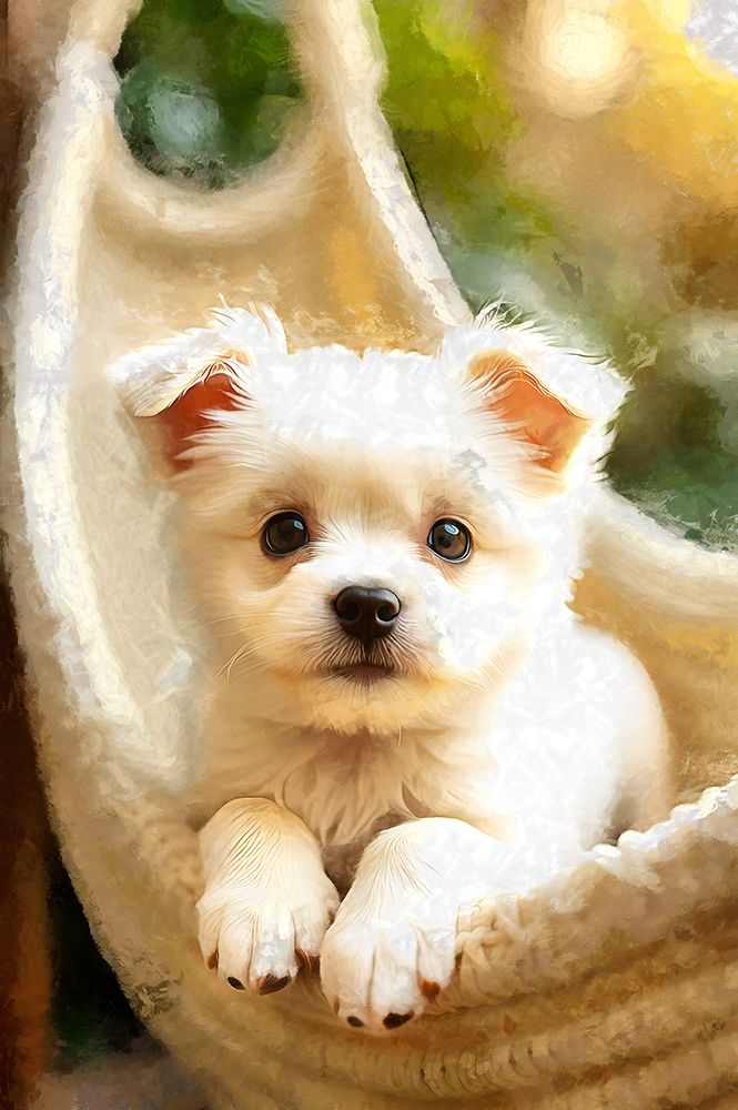 Cute Puppy in Hammock art print by Vanessa Knight for $57.95 CAD