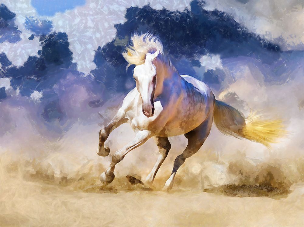 Desert Stallion art print by Vanessa Knight for $57.95 CAD
