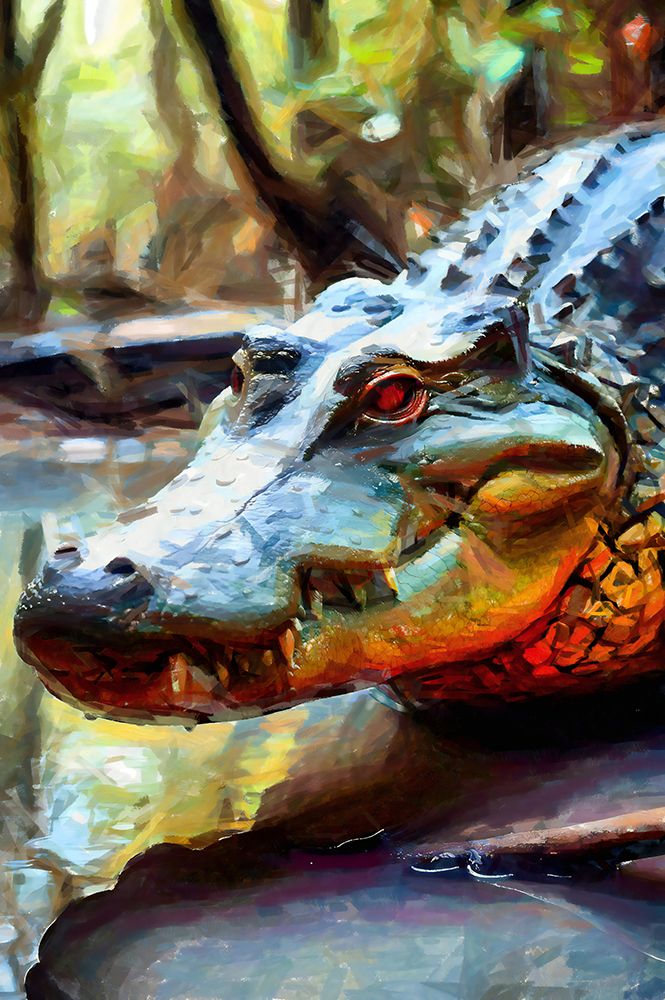 Gator in Red art print by Vanessa Knight for $57.95 CAD