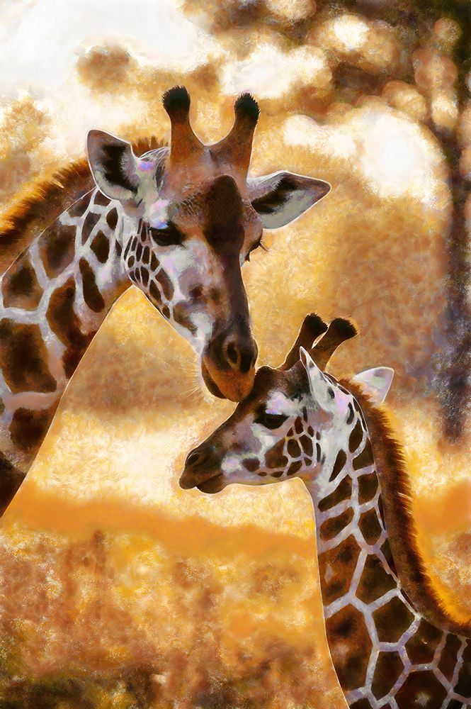 Giraffe Abstraction II art print by Vanessa Knight for $57.95 CAD