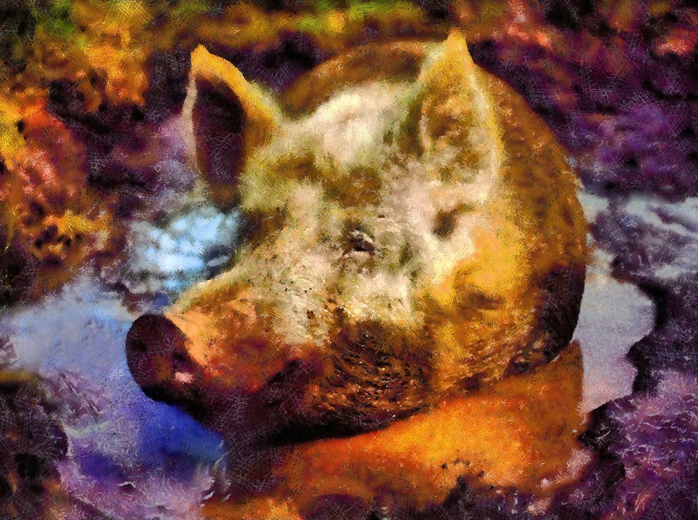 Happy Piggy art print by Vanessa Knight for $57.95 CAD