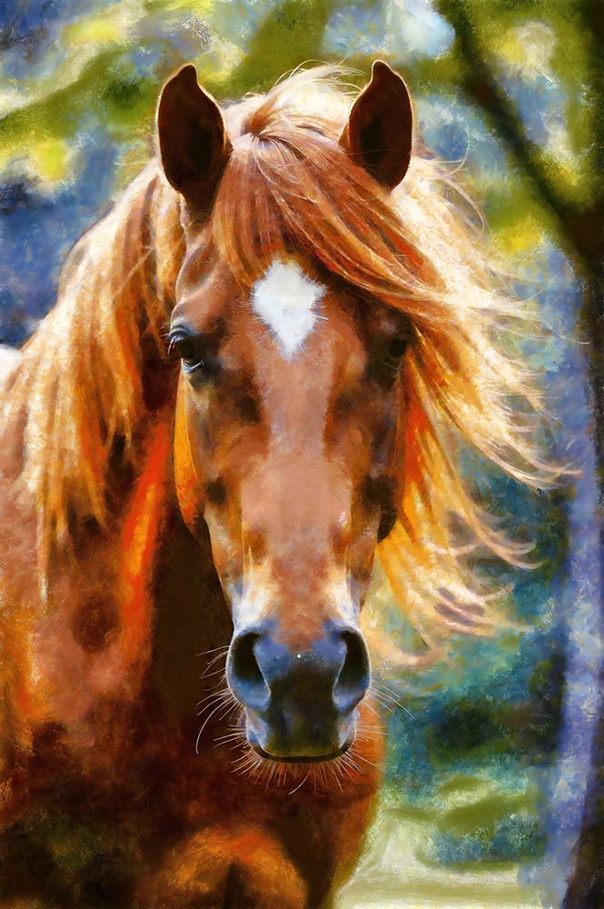 Horse Abstraction IV art print by Vanessa Knight for $57.95 CAD
