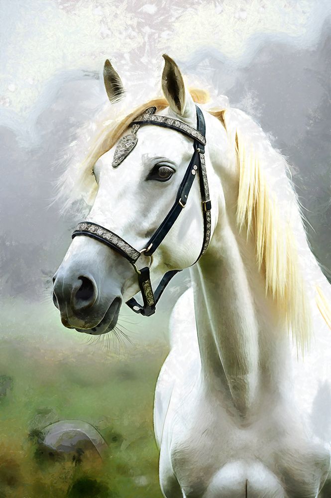 Horse Abstraction V art print by Vanessa Knight for $57.95 CAD