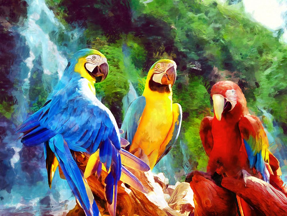 Just Parroting art print by Vanessa Knight for $57.95 CAD