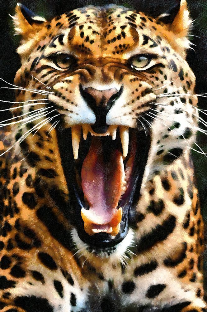 Leopard Roar art print by Vanessa Knight for $57.95 CAD