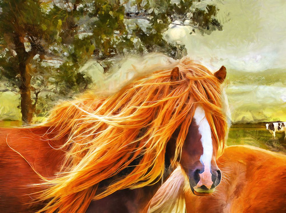 Mop Top art print by Vanessa Knight for $57.95 CAD