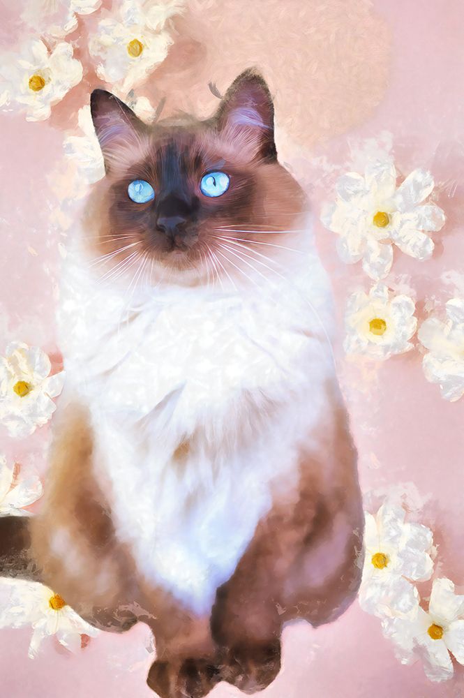 Old Blue Eyes I art print by Vanessa Knight for $57.95 CAD