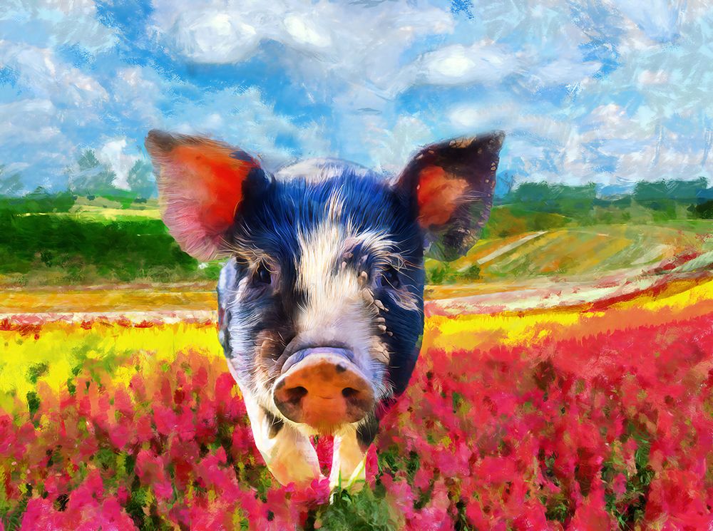Pig Abstraction art print by Vanessa Knight for $57.95 CAD