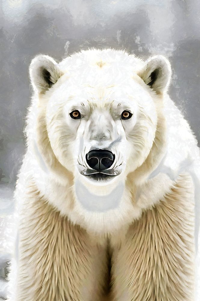 Polar Bear Portrait art print by Vanessa Knight for $57.95 CAD