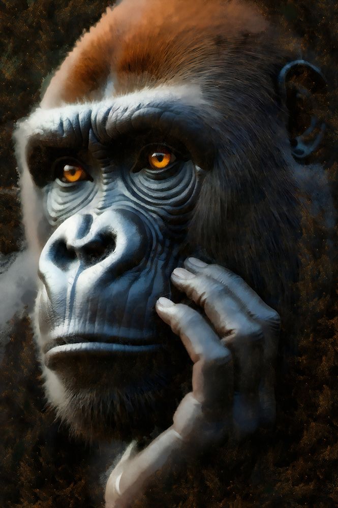 Pondering Gorilla I art print by Vanessa Knight for $57.95 CAD
