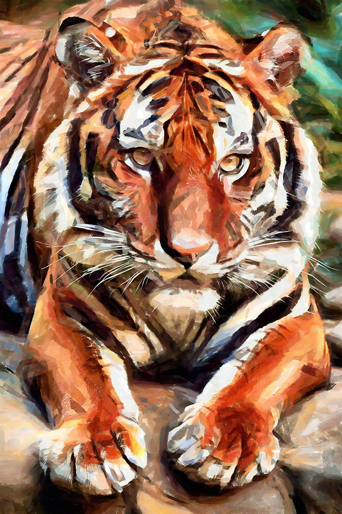 Ready to Pounce art print by Vanessa Knight for $57.95 CAD