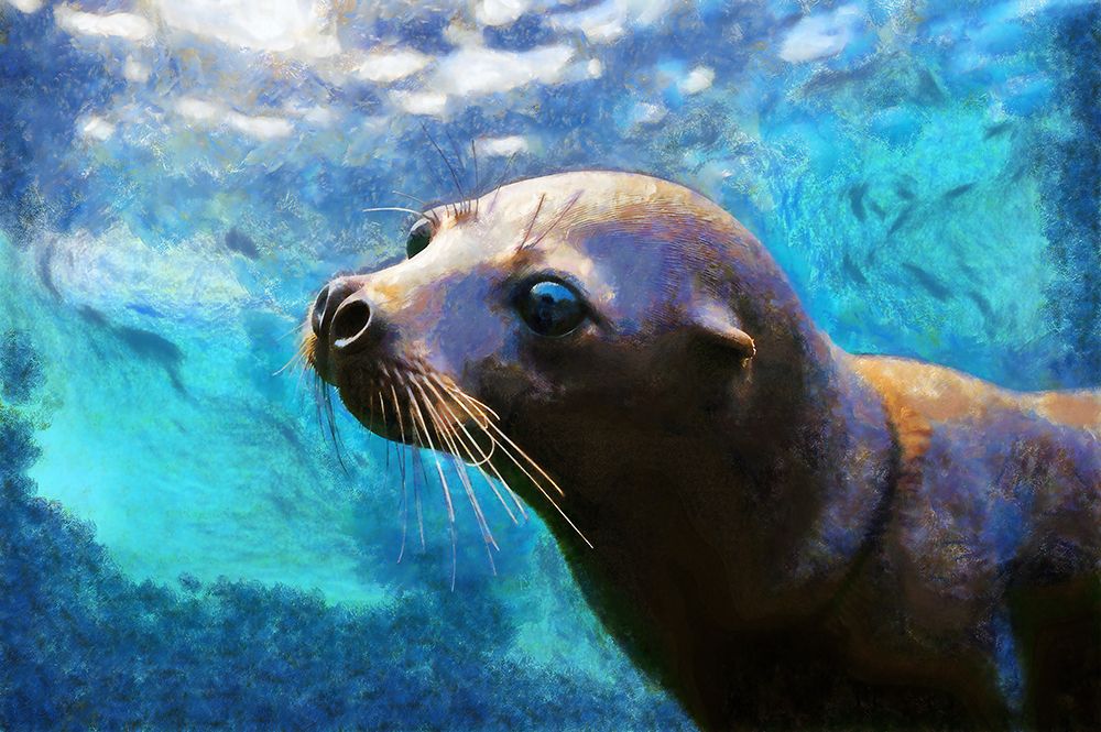 Seal Abstraction I art print by Vanessa Knight for $57.95 CAD