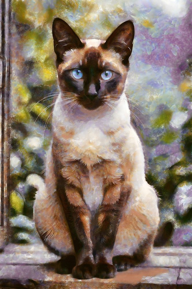 We are Siamese art print by Vanessa Knight for $57.95 CAD