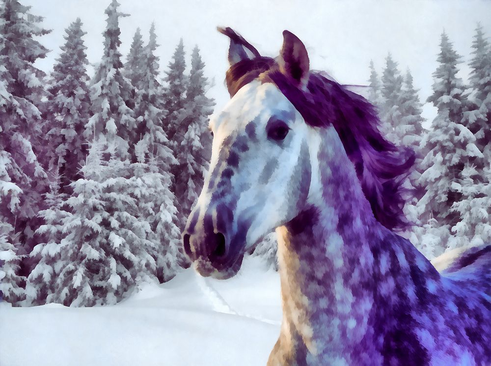 Winter King art print by Vanessa Knight for $57.95 CAD