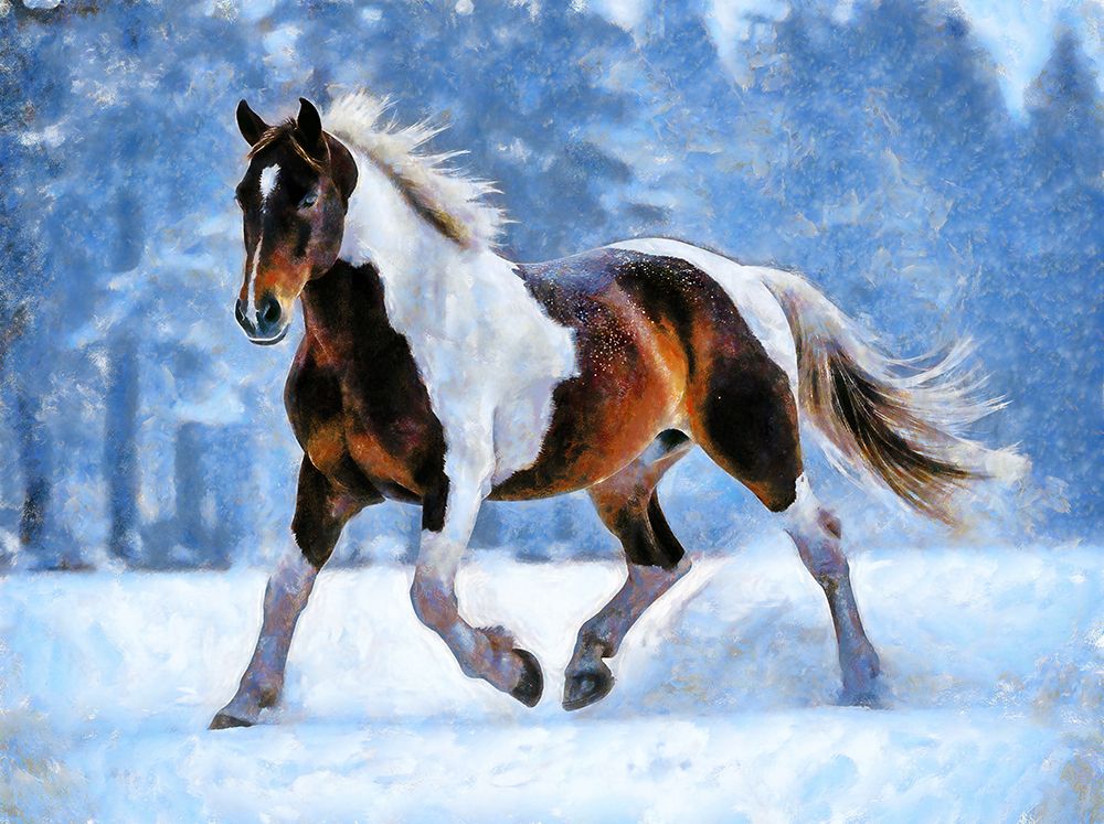 Winter Prince II art print by Vanessa Knight for $57.95 CAD