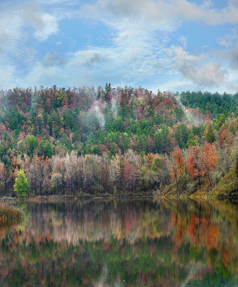 Cassatot Point-Gillham Lake-Arkansas art print by Tim Fitzharris for $57.95 CAD