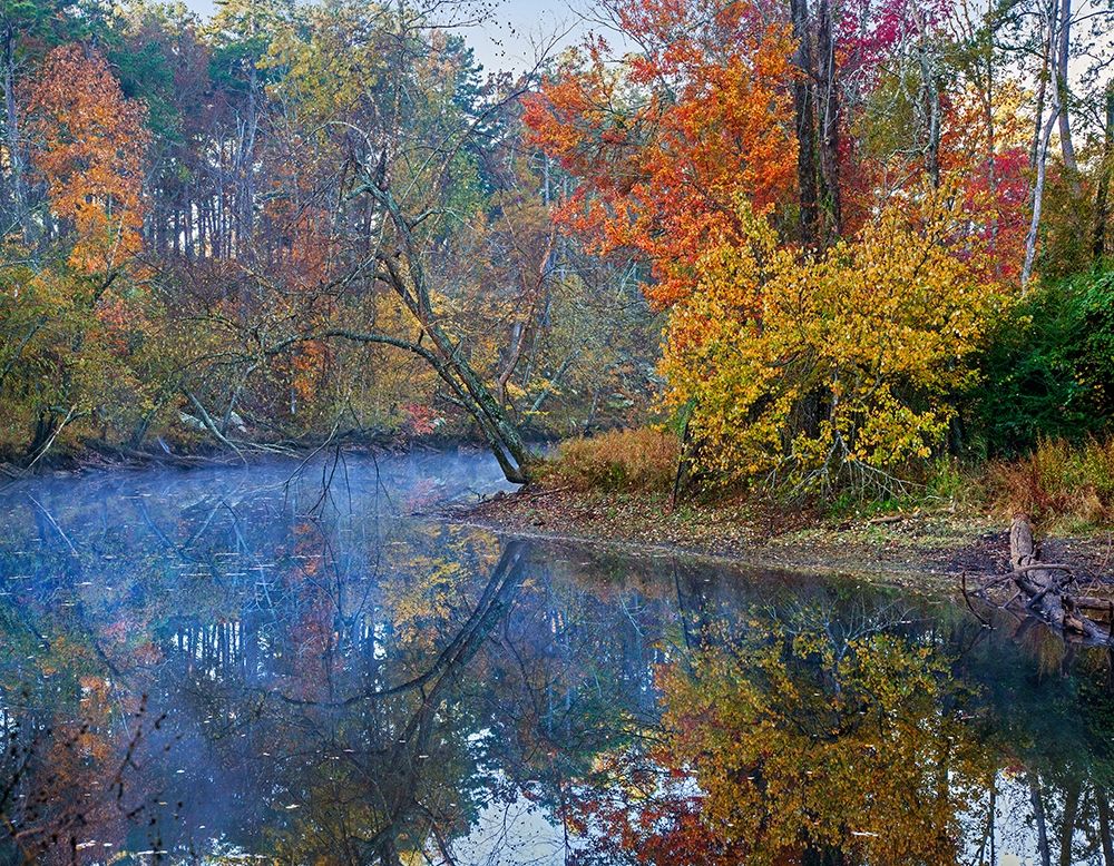 Petit Jean River-Petit Jean State Park-Arkansas. art print by Tim Fitzharris for $57.95 CAD