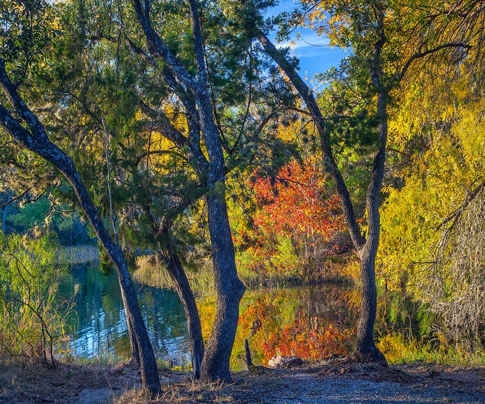 Inks Lake-Inks Lake State Park-Texas art print by Tim Fitzharris for $57.95 CAD