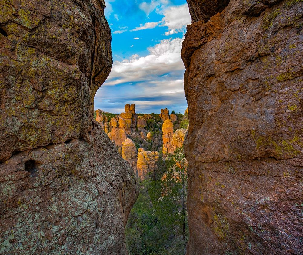 Grotto at Echo Canyon Trail-Chiricahua National Monument-Arizona art print by Tim Fitzharris for $57.95 CAD