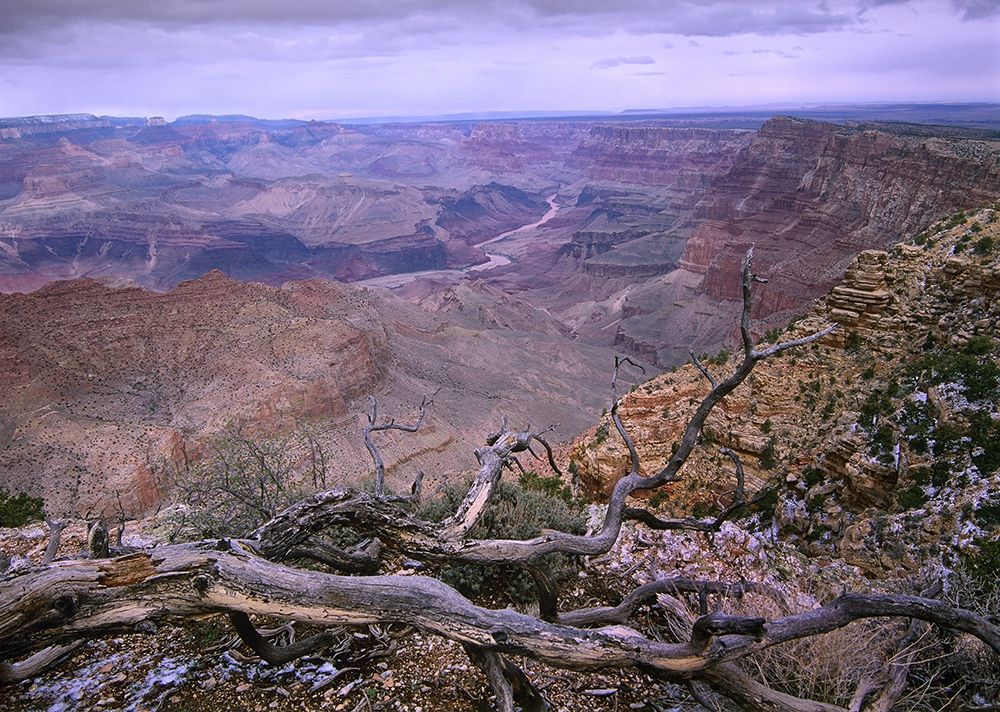 Colorado River from Desert View-Grand Canyon National Park-Arizona art print by Tim Fitzharris for $57.95 CAD