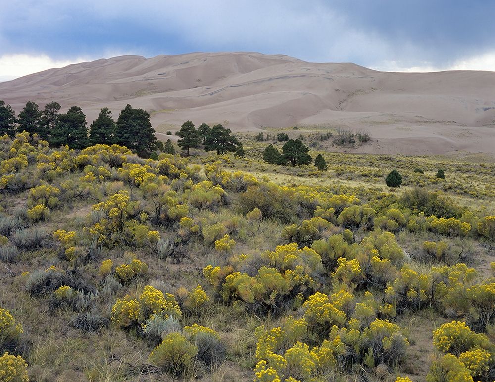 Great Sand Dunes National Park-Colorado art print by Tim Fitzharris for $57.95 CAD