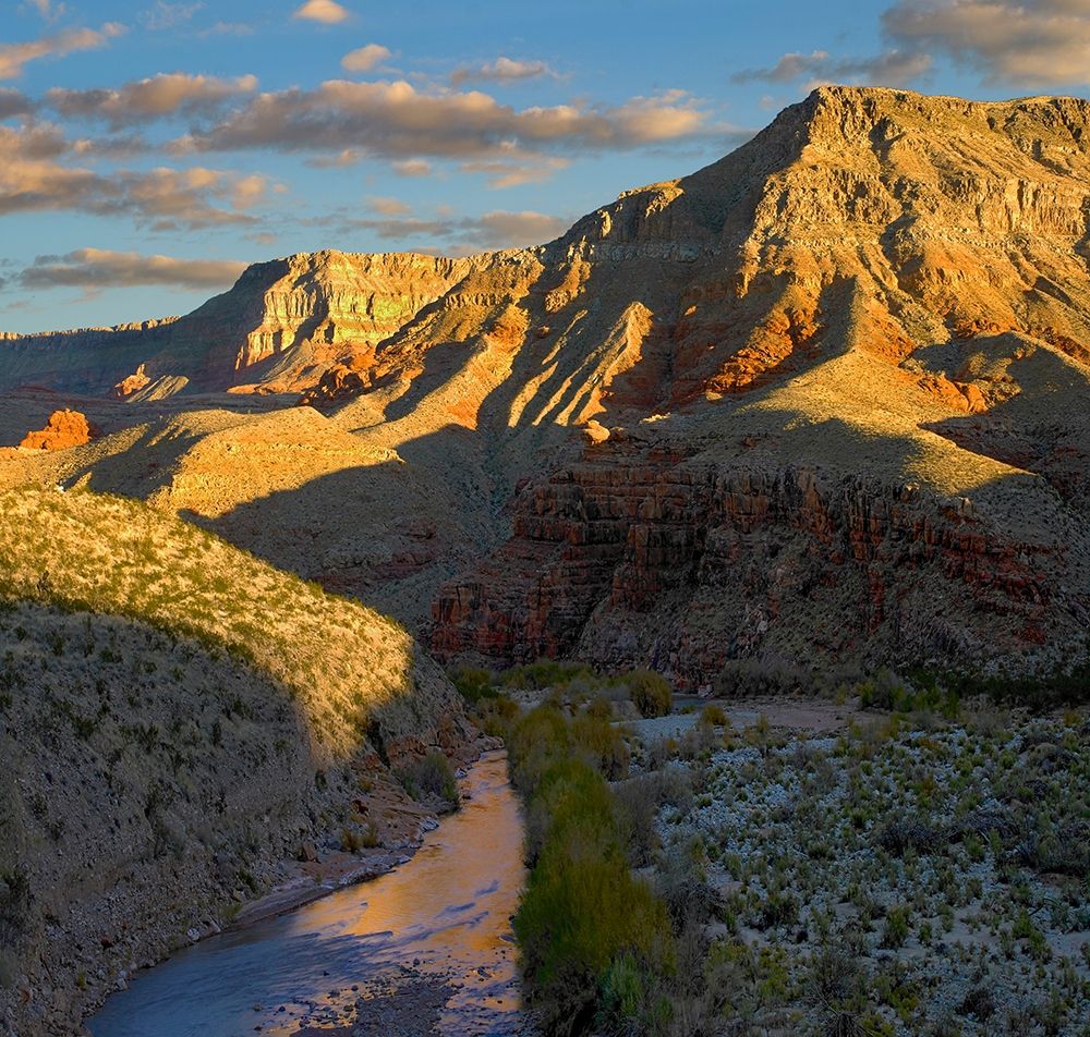 Virgin River and Virgin Mountains-Arizona art print by Tim Fitzharris for $57.95 CAD