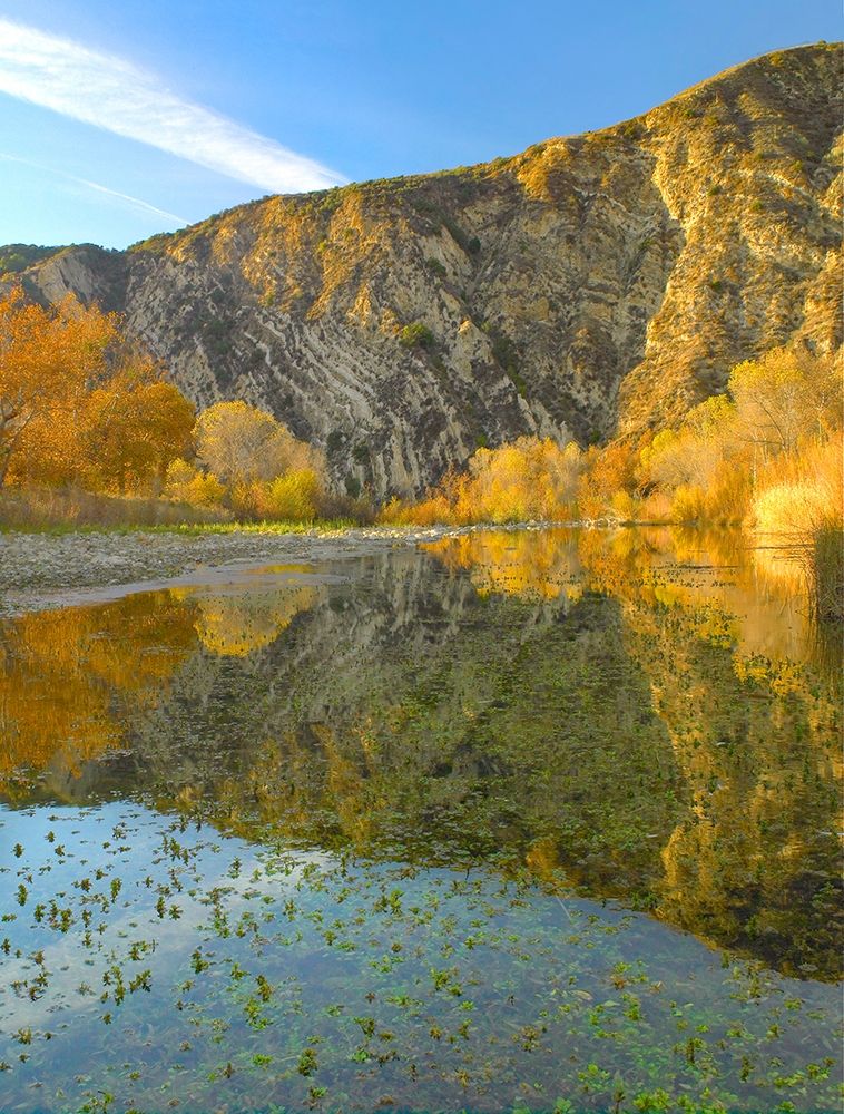 Mountains Reflected in Santa Ynez River-California art print by Tim Fitzharris for $57.95 CAD