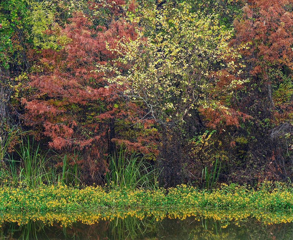 Wilton Landing-Millwood Lake-Arkansas art print by Tim Fitzharris for $57.95 CAD