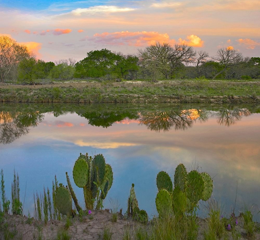South Llano River State Park-Texas. art print by Tim Fitzharris for $57.95 CAD