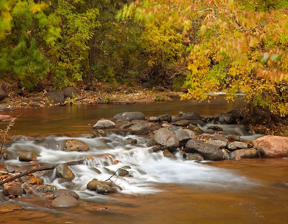 Oak Creek in autumn near Sedona-Arizona art print by Tim Fitzharris for $57.95 CAD