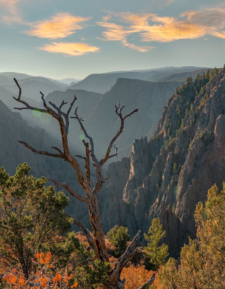 Tomichi Point-Black Canyon of the Gunnison National Park-Colorado art print by Tim Fitzharris for $57.95 CAD