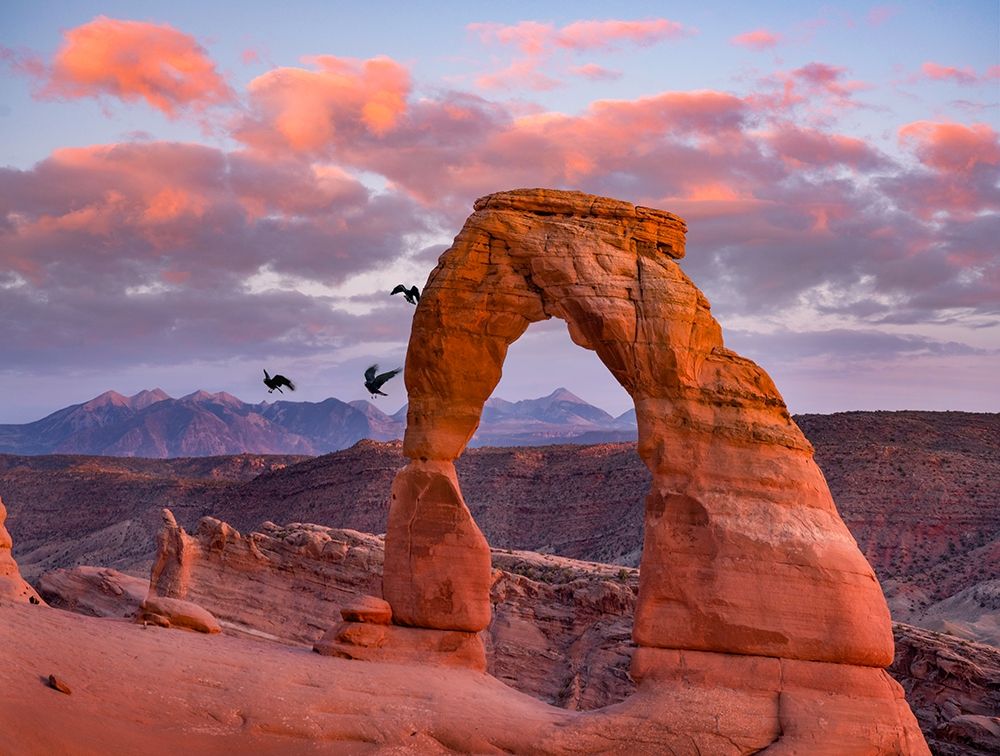 Delicate Arch-Arches National Park-Utah-USA art print by Tim Fitzharris for $57.95 CAD