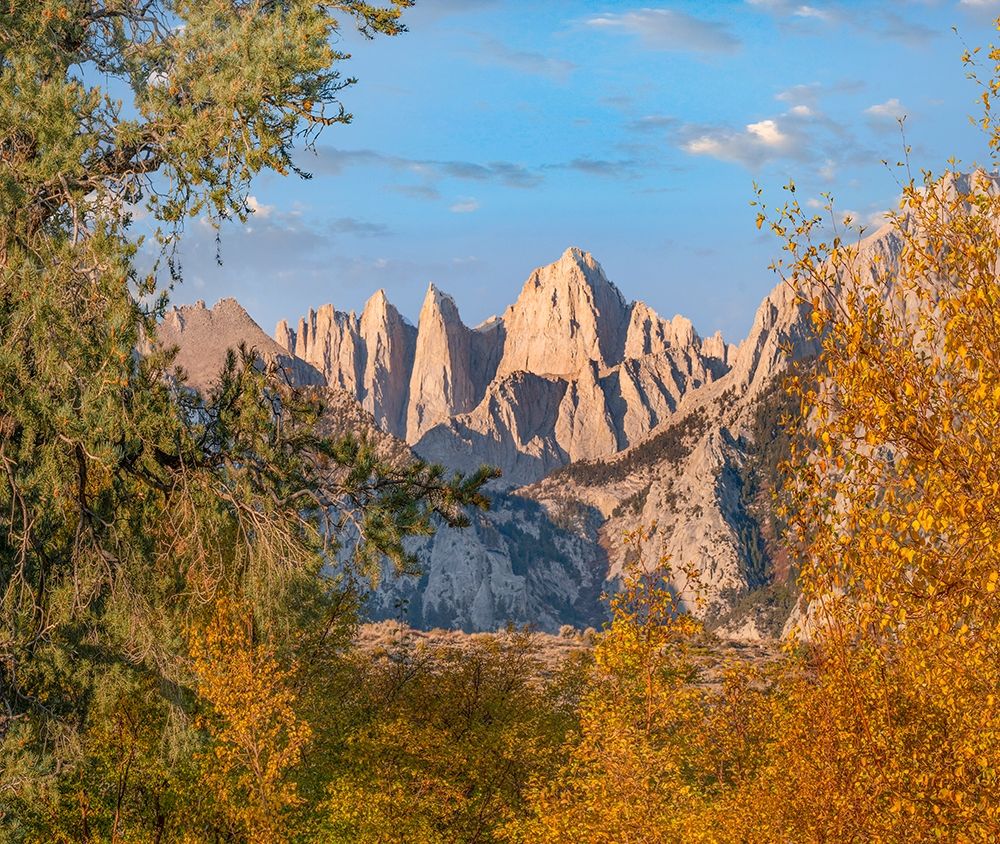 Mount Whitney-Sequoia National Park-California-USA art print by Tim Fitzharris for $57.95 CAD