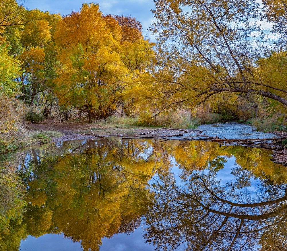 Verde River near Camp Verde-Arizona-USA art print by Tim Fitzharris for $57.95 CAD