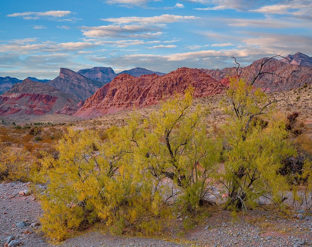 Spring Mountains-Red Rock Canyon National Conservation Area-Nevada art print by Tim Fitzharris for $57.95 CAD