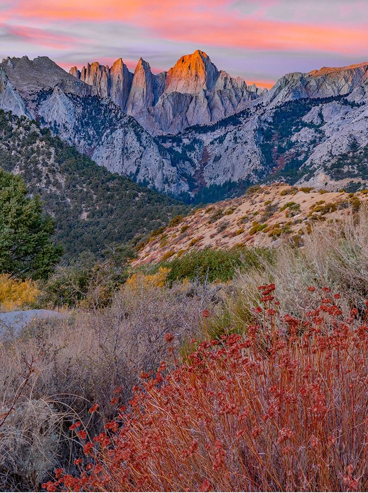 Mount Whitney-Sequoia National Park Inyo-National Forest-California art print by Tim Fitzharris for $57.95 CAD
