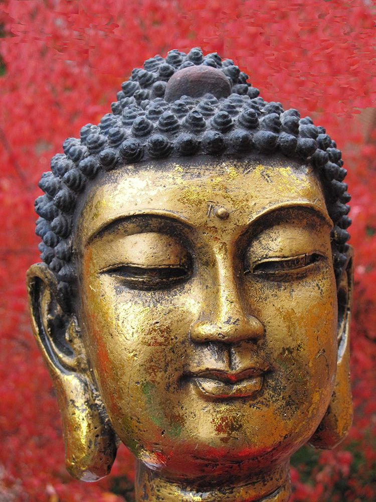 Antique Gold and Red Buddha Statue Head art print by Artographie for $57.95 CAD