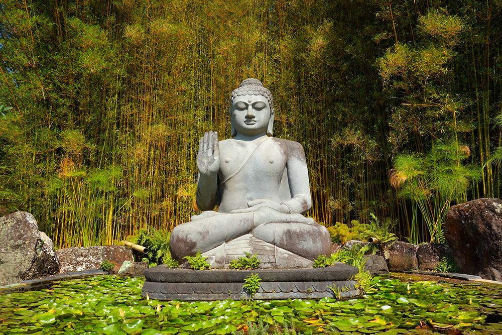 Big Stone Buddha Statue in Forest art print by Artographie for $57.95 CAD