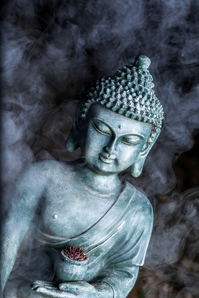 Blue Buddha Statue with Succulent art print by Artographie for $57.95 CAD