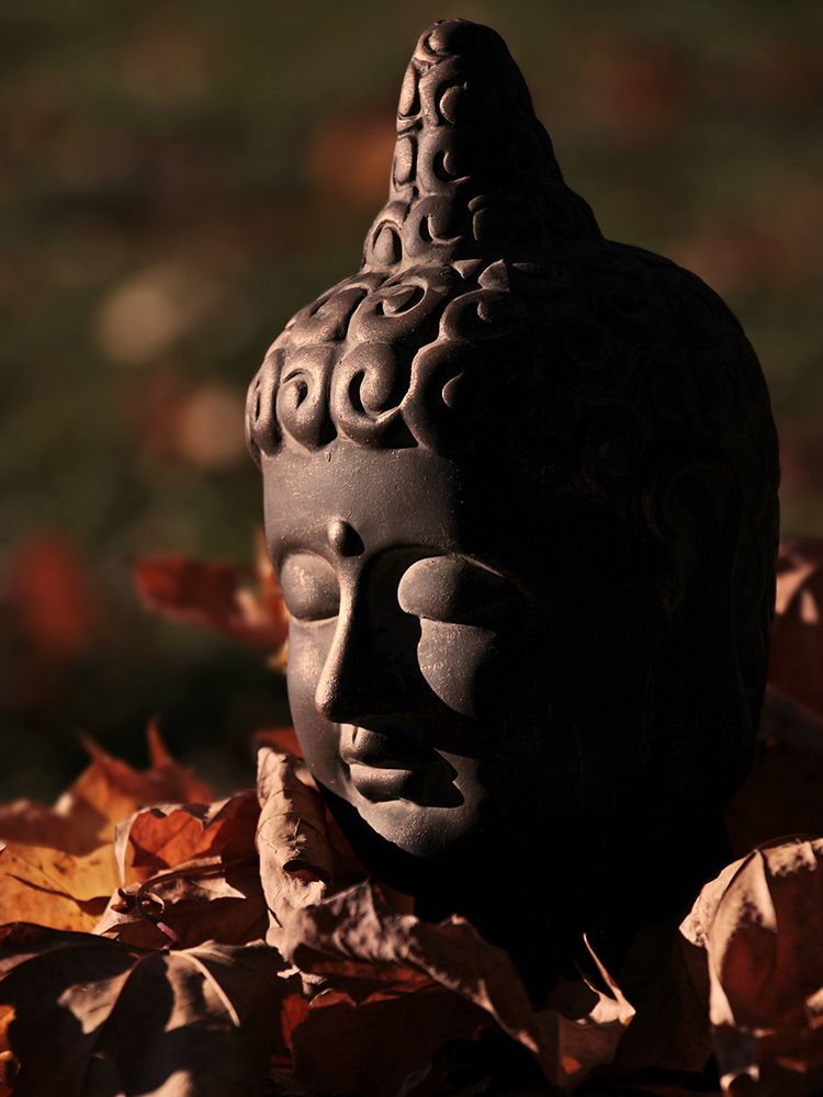 Buddha Head in Fall Leaves art print by Artographie for $57.95 CAD