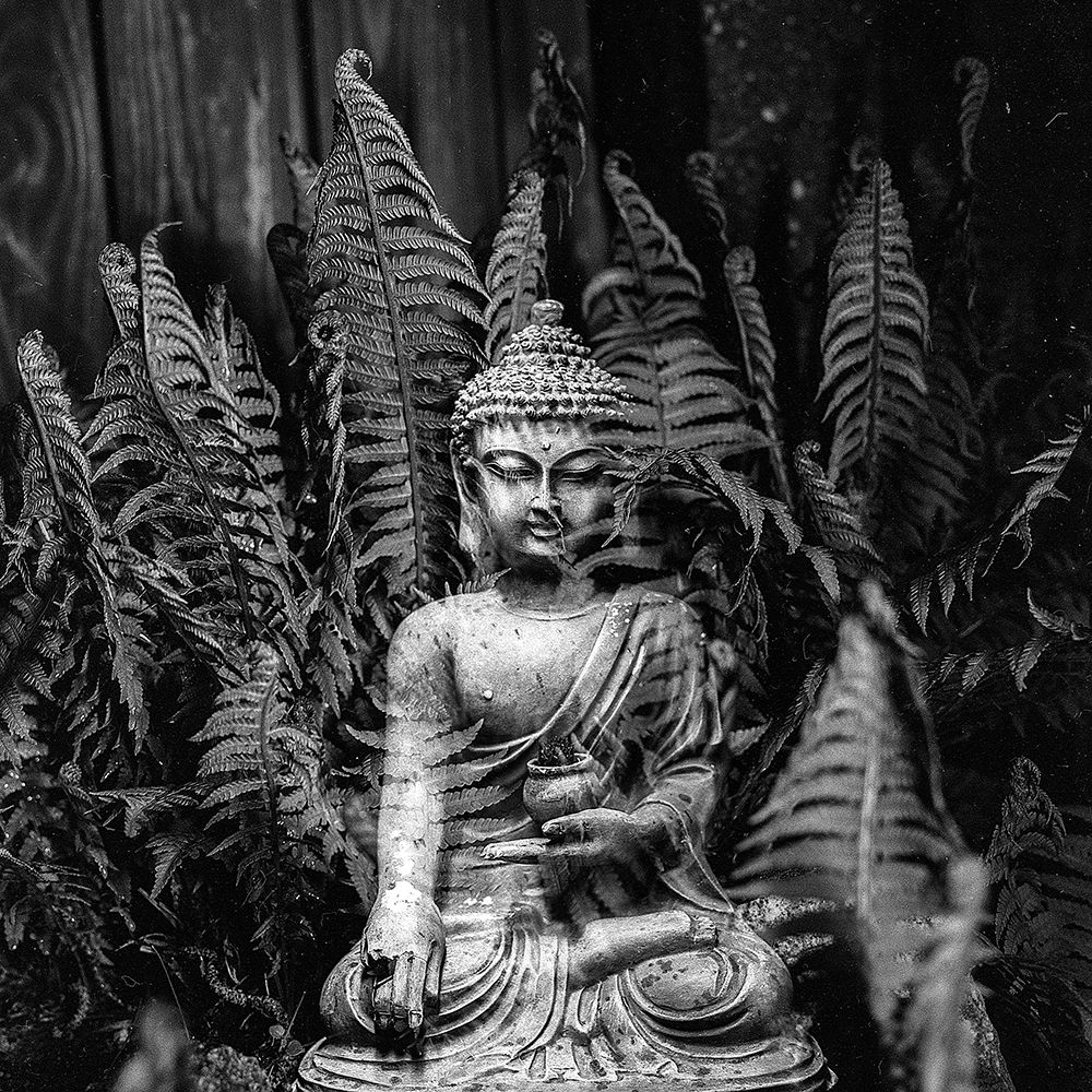 Buddha Statue in Black and White with Ferns art print by Artographie for $57.95 CAD