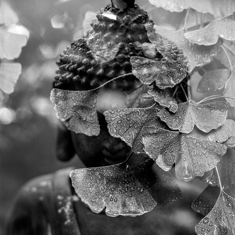 Buddha Statue in Black and White with Ginkgo Leaves art print by Artographie for $57.95 CAD