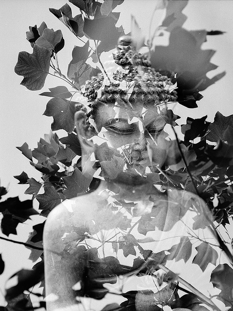 Buddha Statue in Black and White with Leaves I art print by Artographie for $57.95 CAD