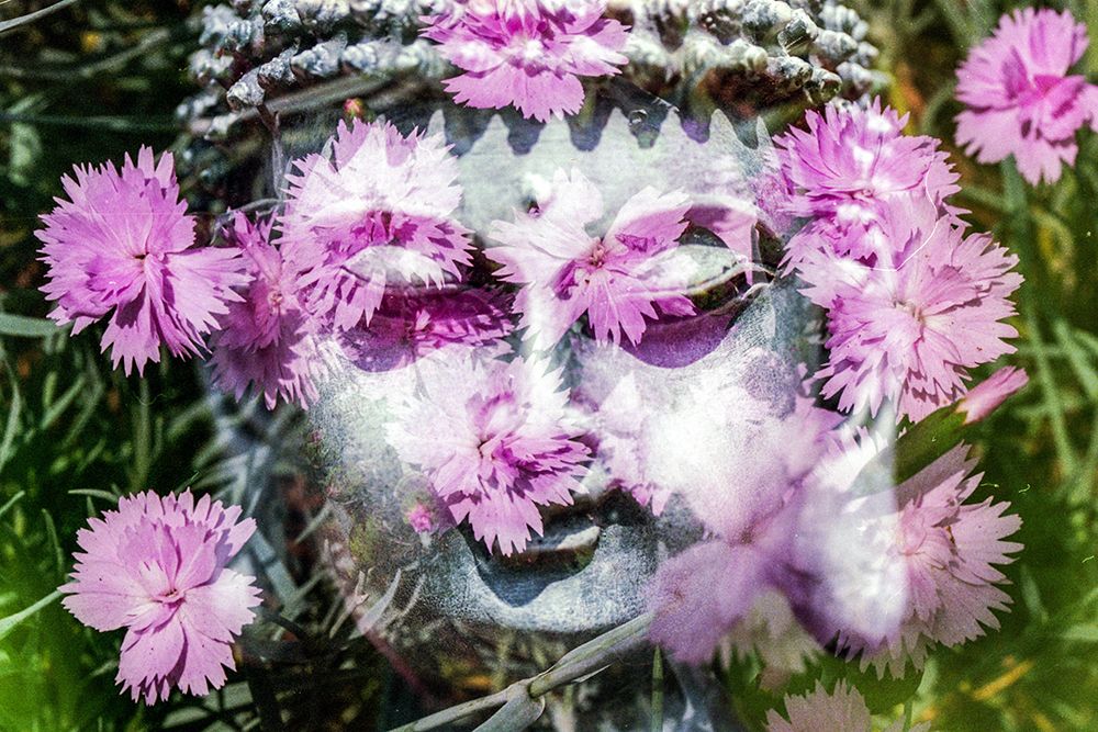 Buddha Statue with Pink Blossoms art print by Artographie for $57.95 CAD