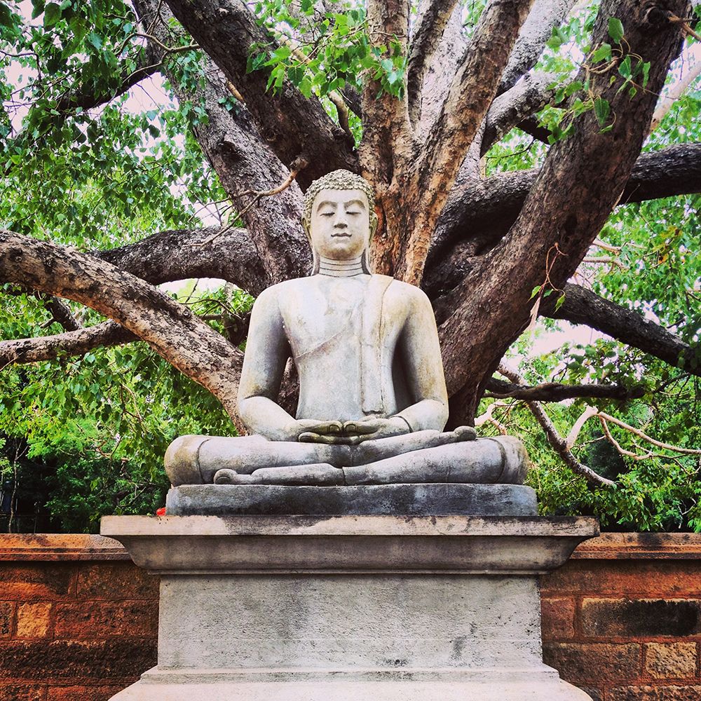 Buddha Statue with Tree art print by Artographie for $57.95 CAD